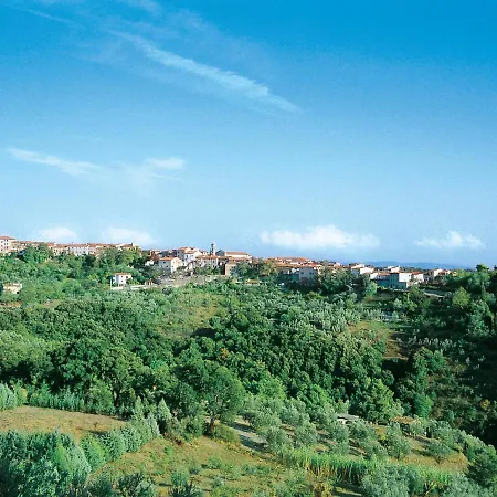Il Felciaione-13 By Interhome Apartment *